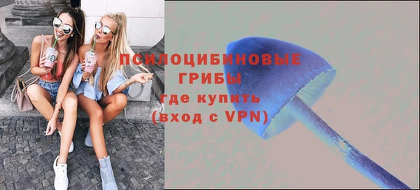 не бодяженный Гусиноозёрск