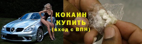 PSILOCYBIN Гусев