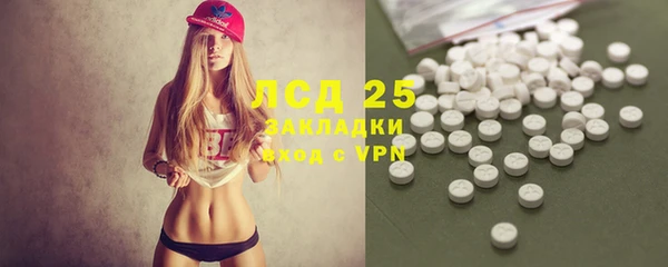 PSILOCYBIN Гусев