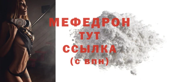 мдпв Дмитров