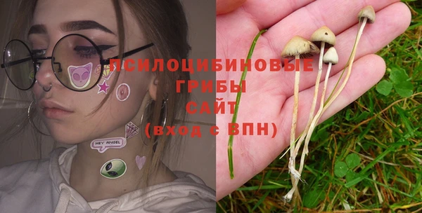 PSILOCYBIN Гусев