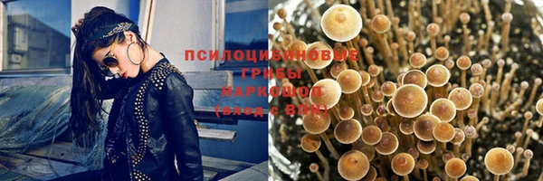 не бодяженный Гусиноозёрск
