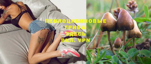PSILOCYBIN Гусев