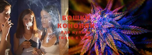 PSILOCYBIN Гусев