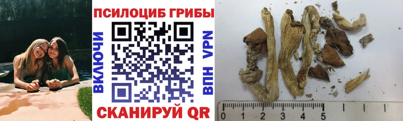 Купить где  Мытищи  Галлюциногенные грибы Magic Shrooms 